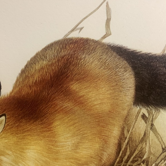 Glen Loates “FOX” 18 x 23 in signed / sealed lithograph - Picture 3 of 13